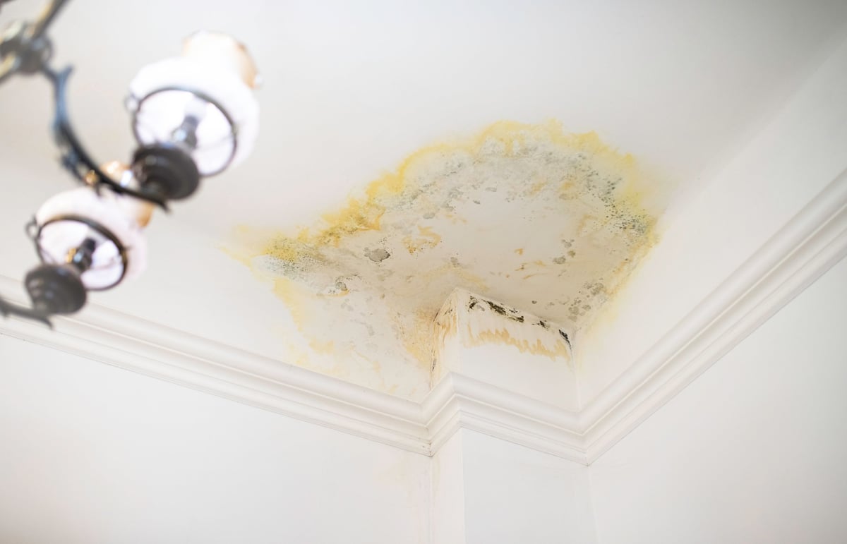A water stain on the ceiling from a roof leak, indicating interior water damage