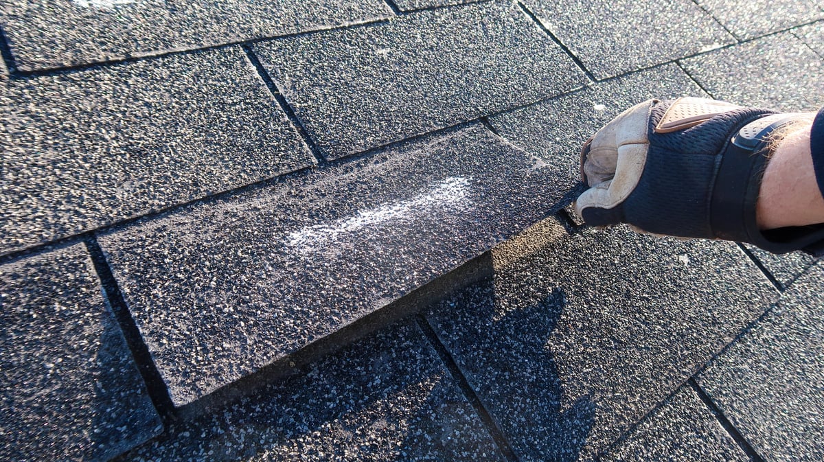 Roofing professional inspecting an asphalt shingle that has lost its adhesive bond, showing signs of wind damage